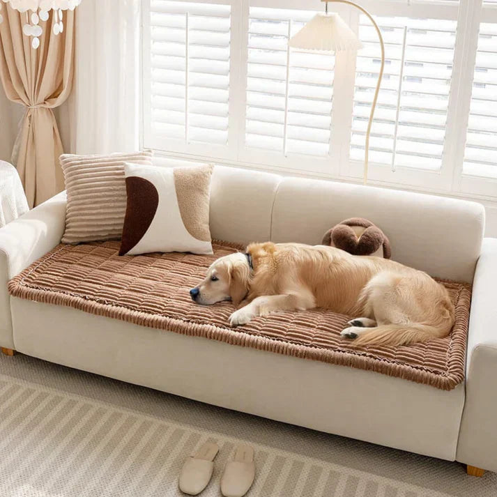 Juego de 2 fundas de sofá acolchadas y antideslizantes para mascotas
